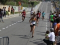 08 arribada adults (204)