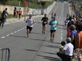 08 arribada adults (207)