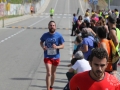 08 arribada adults (216)