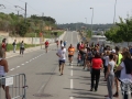 08 arribada adults (230)