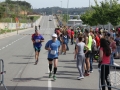 08 arribada adults (237)