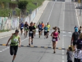 08 arribada adults (255)