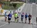 08 arribada adults (267)