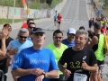 08 arribada adults (270)