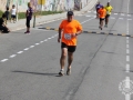 08 arribada adults (302)