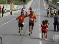 08 arribada adults (311)