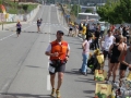 08 arribada adults (326)