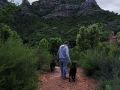 2_0050-mule-cardona-montserrat