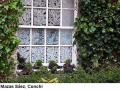 2_0190-mazas-saez-conchi