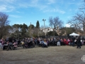 dia andalucia 03 (65)