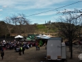 dia andalucia 03 (73)