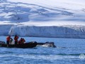 20120128-37Ballena