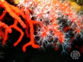 2011-08-22 11h27m03.jpg