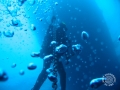 2012-08-28 11h42m48.jpg