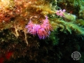 2014-08-27 11h19m24.jpg