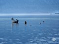 DiegoLlamas-montenegro-4