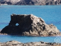 2009-12-05_03_Mare Nostrum Carlos Olle