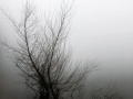 NATURA (11)