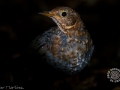_B2A7768_800_web