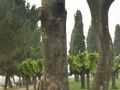 E Ramon Vilanova