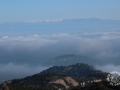 2n-A-Pere-Ventura