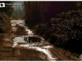 2n-C-Mayte-cortina