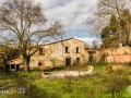 C-Pere-Farre