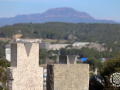 Andreu-Codina