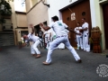 20150626_11-002-Ronda oberta i exhibicio de capoeira