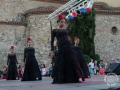20150627_08-003-FESTIVAL FLOR GITANA