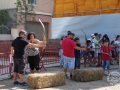 20150628_03-003-tir amb arc