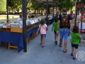 20150628_10-004-FIRA DEL DISC I DEL COL-LECCIONISTA
