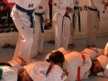 20150628_11-003-EXHIBICIO DE TAEKWONDO
