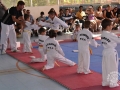 20150628_11-007-EXHIBICIO DE TAEKWONDO