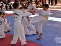 20150628_11-008-EXHIBICIO DE TAEKWONDO