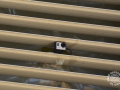 20150629_01-001-TAMI LAPSE_NOVATAT