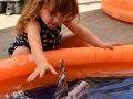 20150629_04-002-TALLER DE VAIXELLS I JOCS