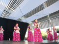 01.12.01-Show-de-danses-de-Bollywood-am-Nataranja-Dance