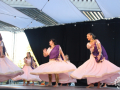 01.12.04-Show-de-danses-de-Bollywood-am-Nataranja-Dance