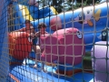 FestaMajor2018_00389