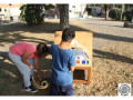 2736-02-Arrels