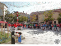 2738-01-Diada-castellera
