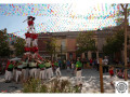 2738-04-Diada-castellera