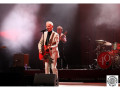2757-01-Concert-dEls-Pets