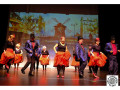 2922-4-Casal-Xou-de-lAssociacio-de-la-Gent-Gran