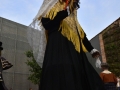 2016-06-03_l41-Foto Viva