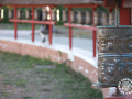 D_MaJOSE-DAZA