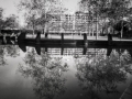 A Jaume Escofet (1)