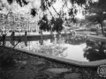 A Jaume Escofet (2)