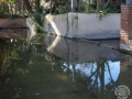 E-Pere-Sarrate-2